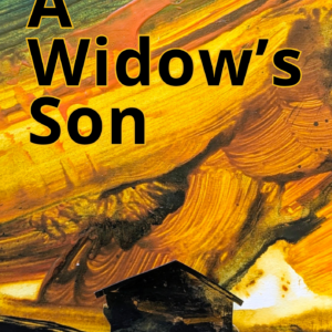 A Widow's Son Irish Historical Novel Cover